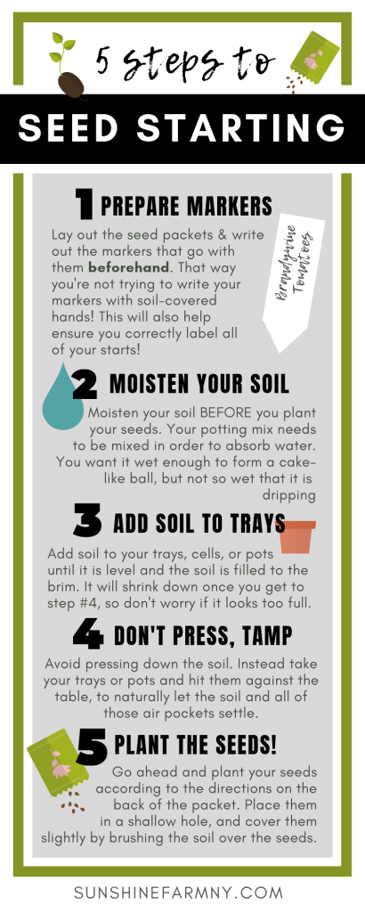 5 Steps to Seed Starting Infographic